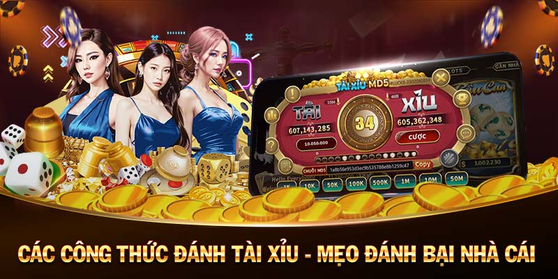 VB777 Cách đá gà cựa dao luôn thắng VB777 Cách đá gà cựa dao luôn thắng